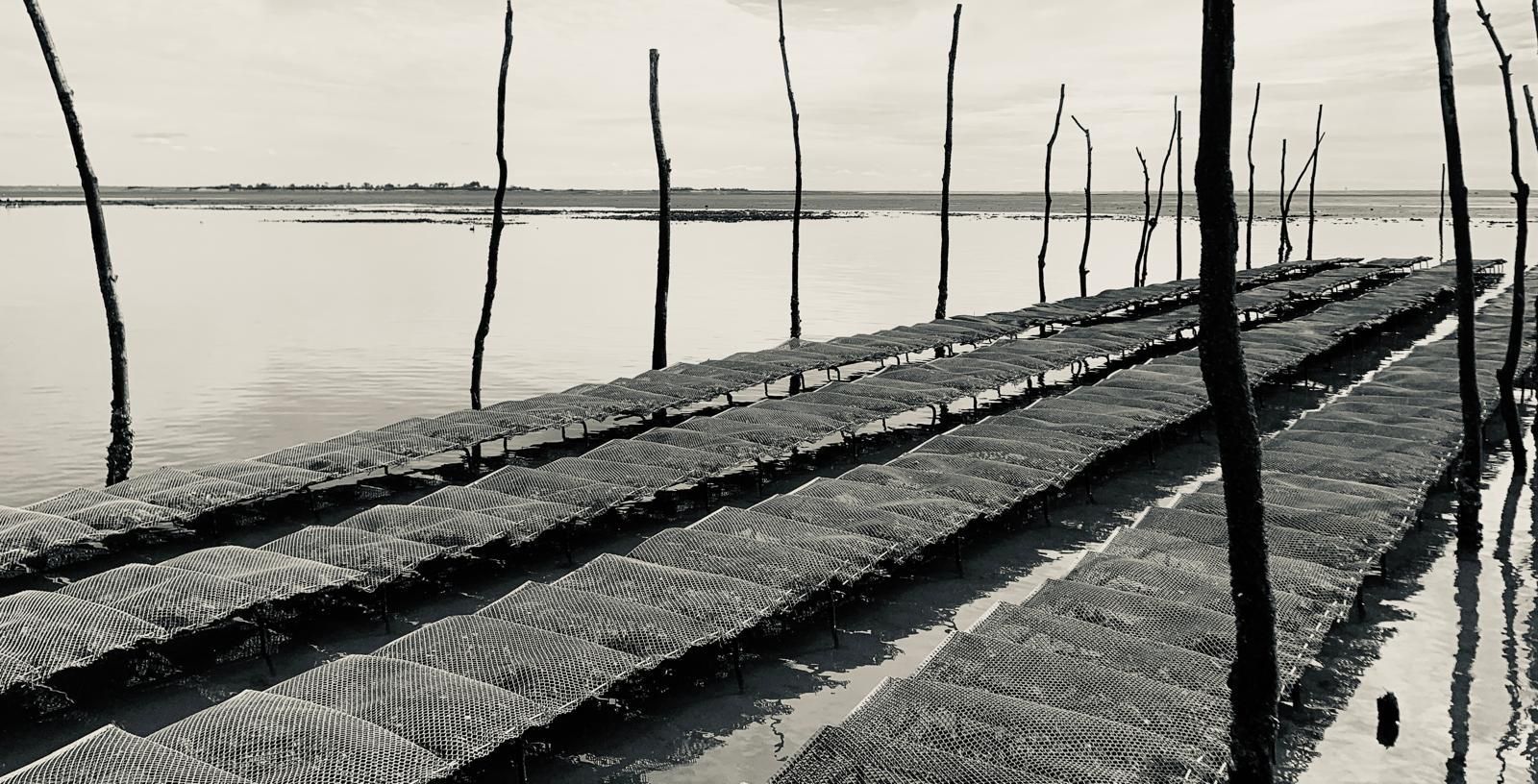 Tables ostréicoles du Bassin d'Arcachon s'étendant vers l'horizon à marée basse